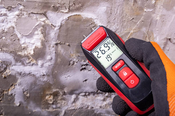 Best Professional Mold Removal  in Fairland, OK