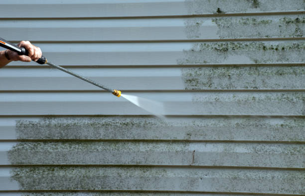 Best Emergency Mold Removal  in Fairland, OK