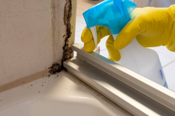 Best Crawl Space Mold Removal  in Fairland, OK