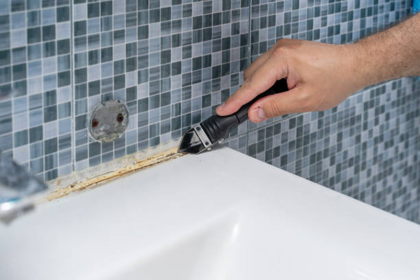 Best Certified Mold Removal  in Fairland, OK