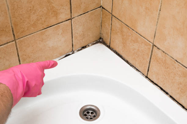 Best Commercial Mold Removal  in Fairland, OK
